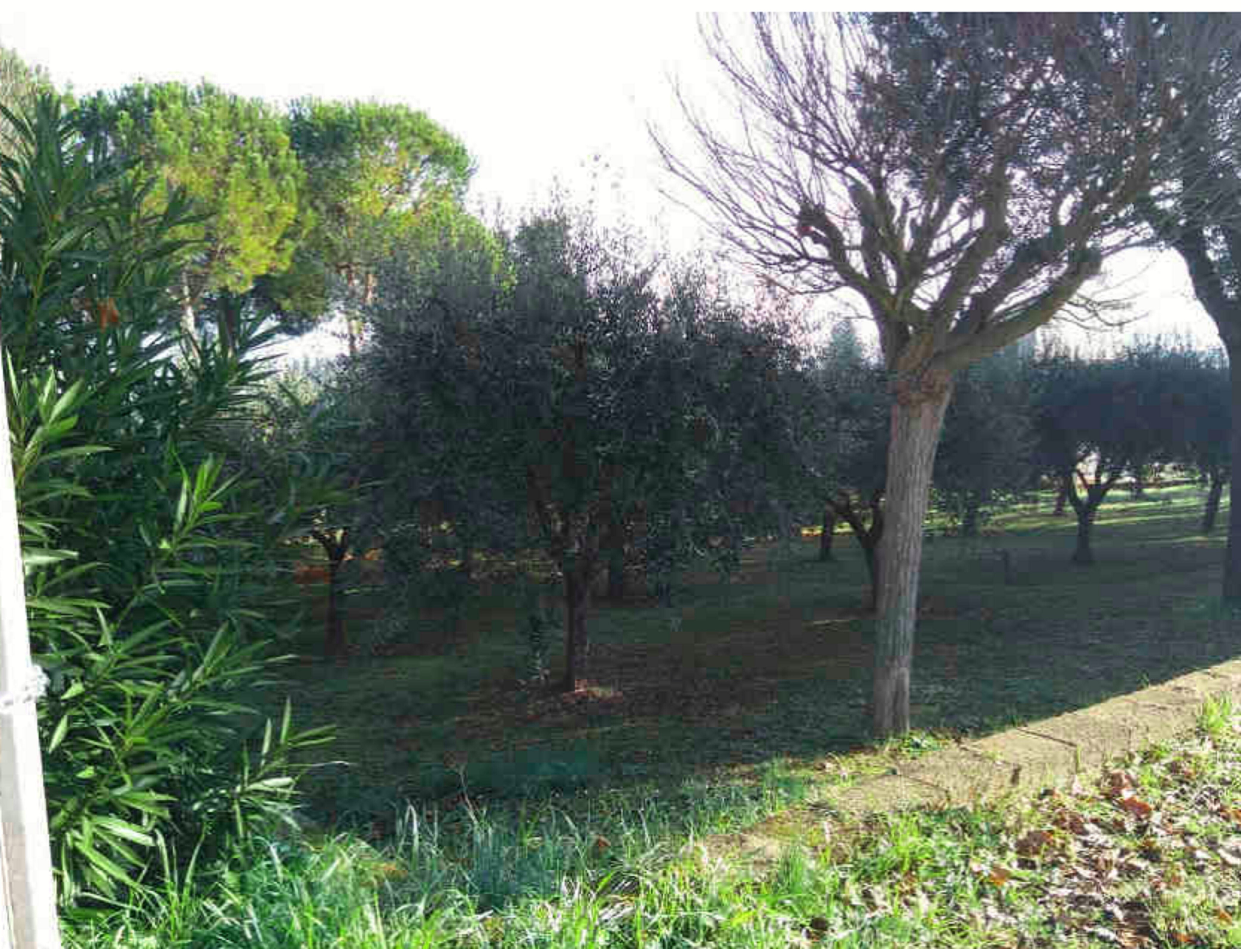 TERRENO VIA SAPIENZA - SANT'ELPIDIO A MARE (FM) — foto 2