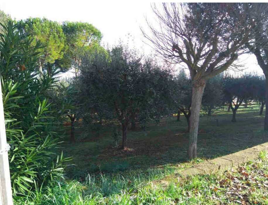 Immagine di TERRENO VIA SAPIENZA – SANT’ELPIDIO A MARE (FM)