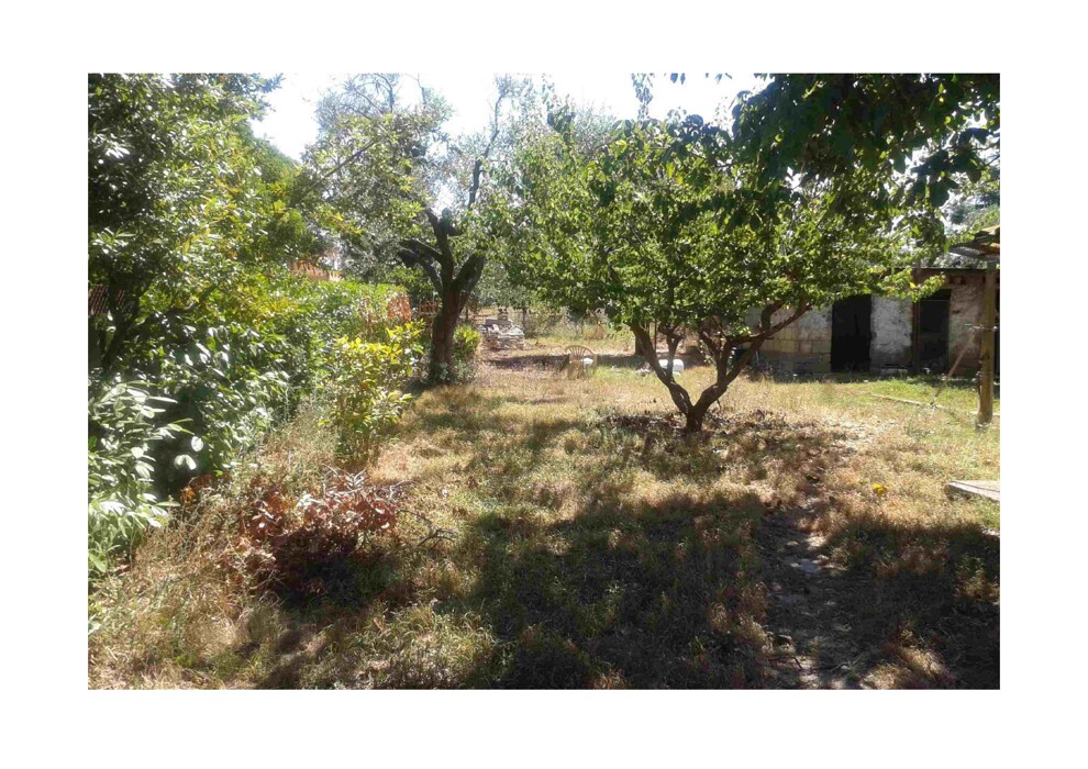 Immagine di VILLA VIA PASCOLARE BASSO – LANUVIO (RM)