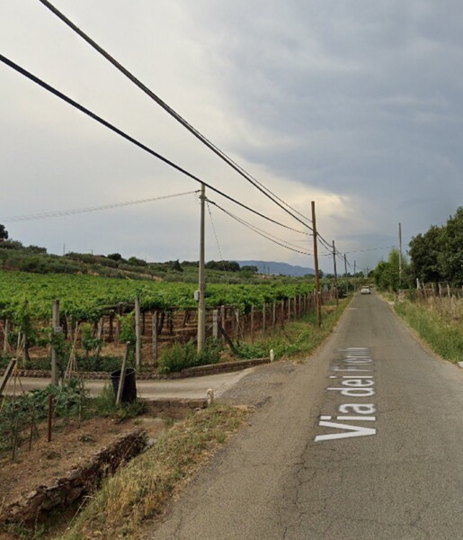 TERRENO VIA DEI FIENILI - VELLETRI — foto 4