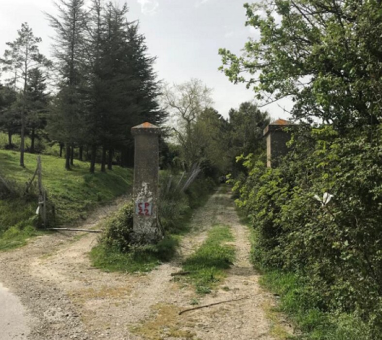 Immagine di COMPL.IMMOB. C.DA MANGIOLIVA SAN PIERO PATTI