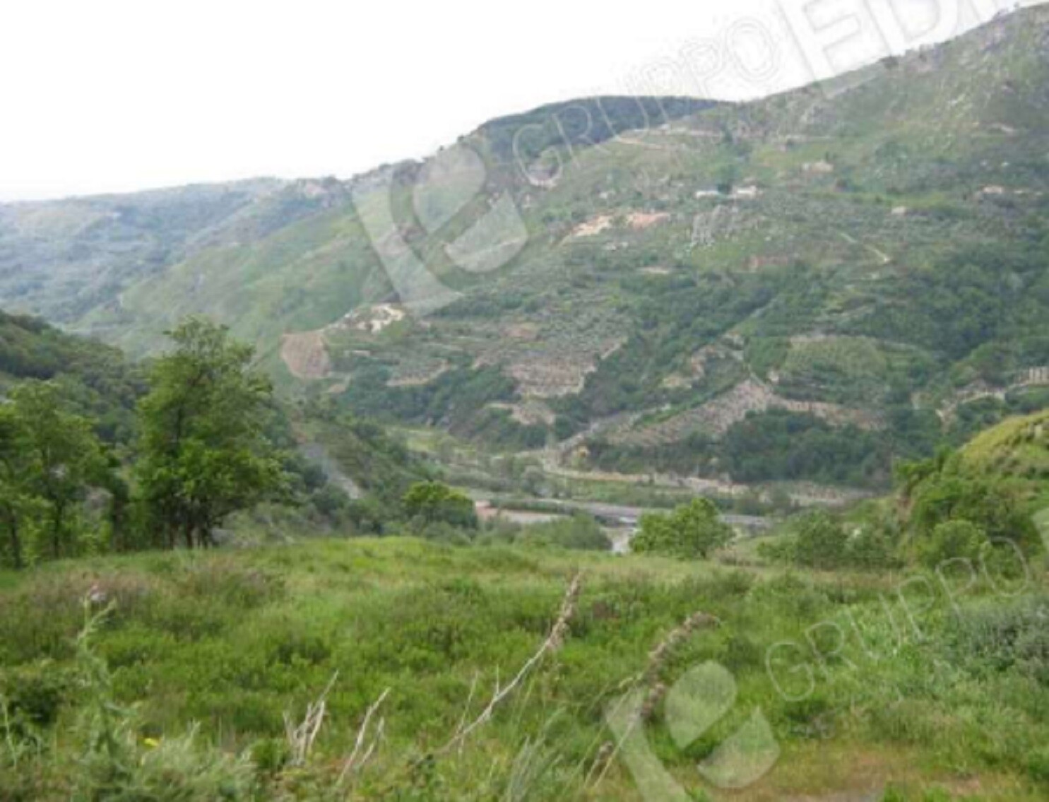 TERRENO, LOC. SANTA CROCE, MARTIRANO LOMBARDO — foto 9