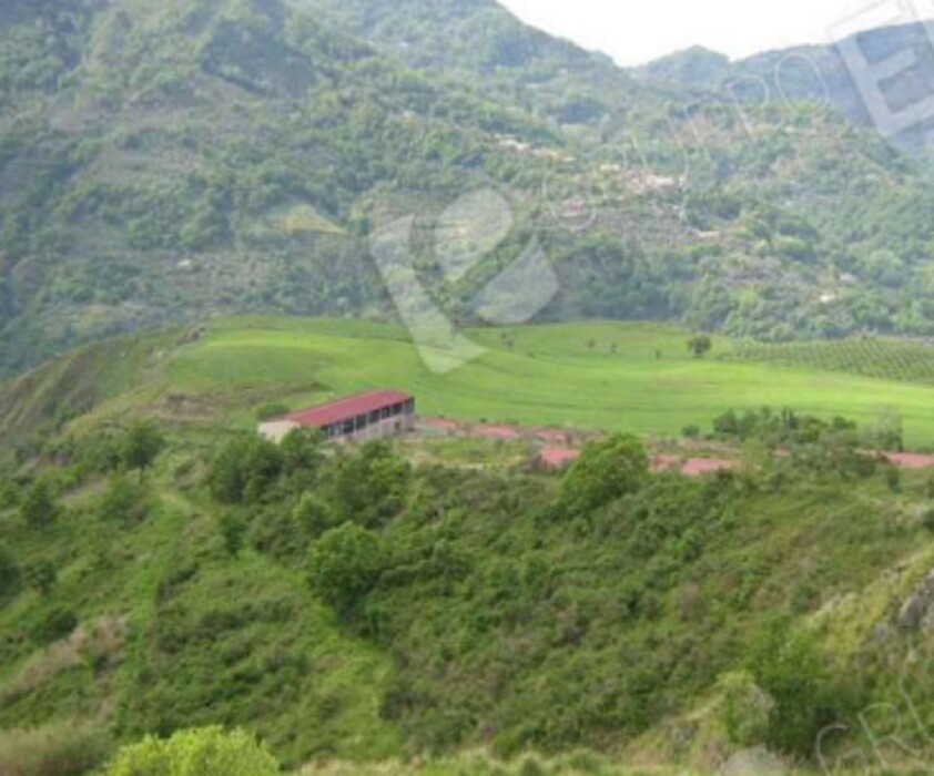 Immagine di TERRENO, LOC. SANTA CROCE, MARTIRANO LOMBARDO