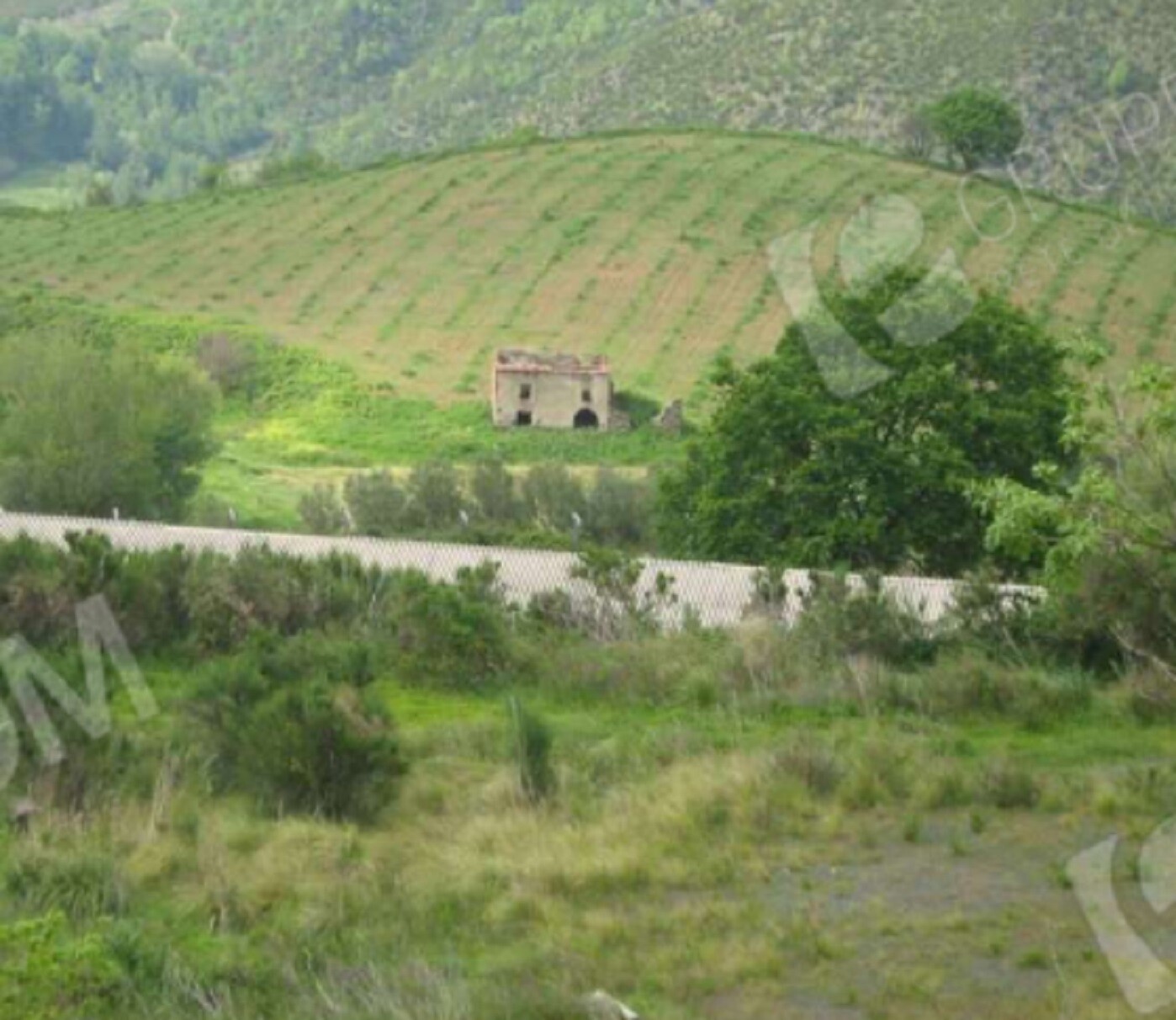 TERRENO, LOC. SANTA CROCE, MARTIRANO LOMBARDO — foto 6