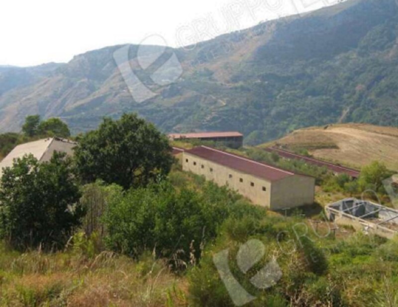 Immagine di TERRENO, LOC. SANTA CROCE, MARTIRANO LOMBARDO