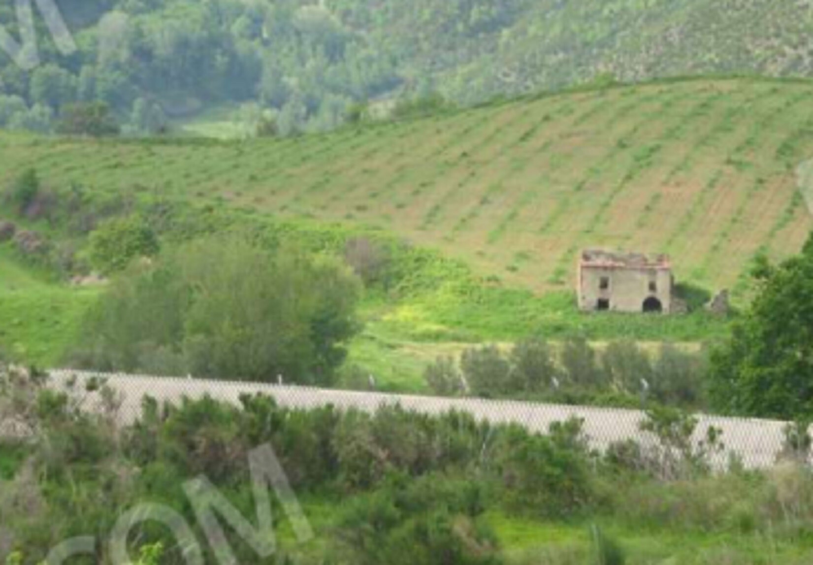 TERRENO, LOC. SANTA CROCE, MARTIRANO LOMBARDO — foto 5