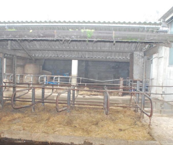 APPARTAMENTO CASCINA MOTTA SNC - CASTELVISCONTI — foto 5