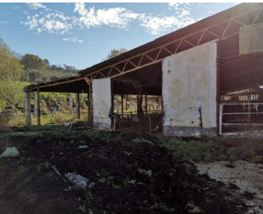 Immagine di AZIENDA AGRICOLA LOC. FIANELLO MONTEBUONO RI