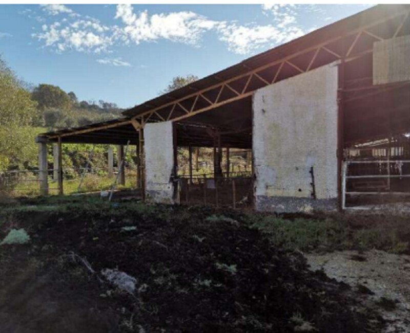 Immagine di AZIENDA AGRICOLA LOC. FIANELLO MONTEBUONO RI