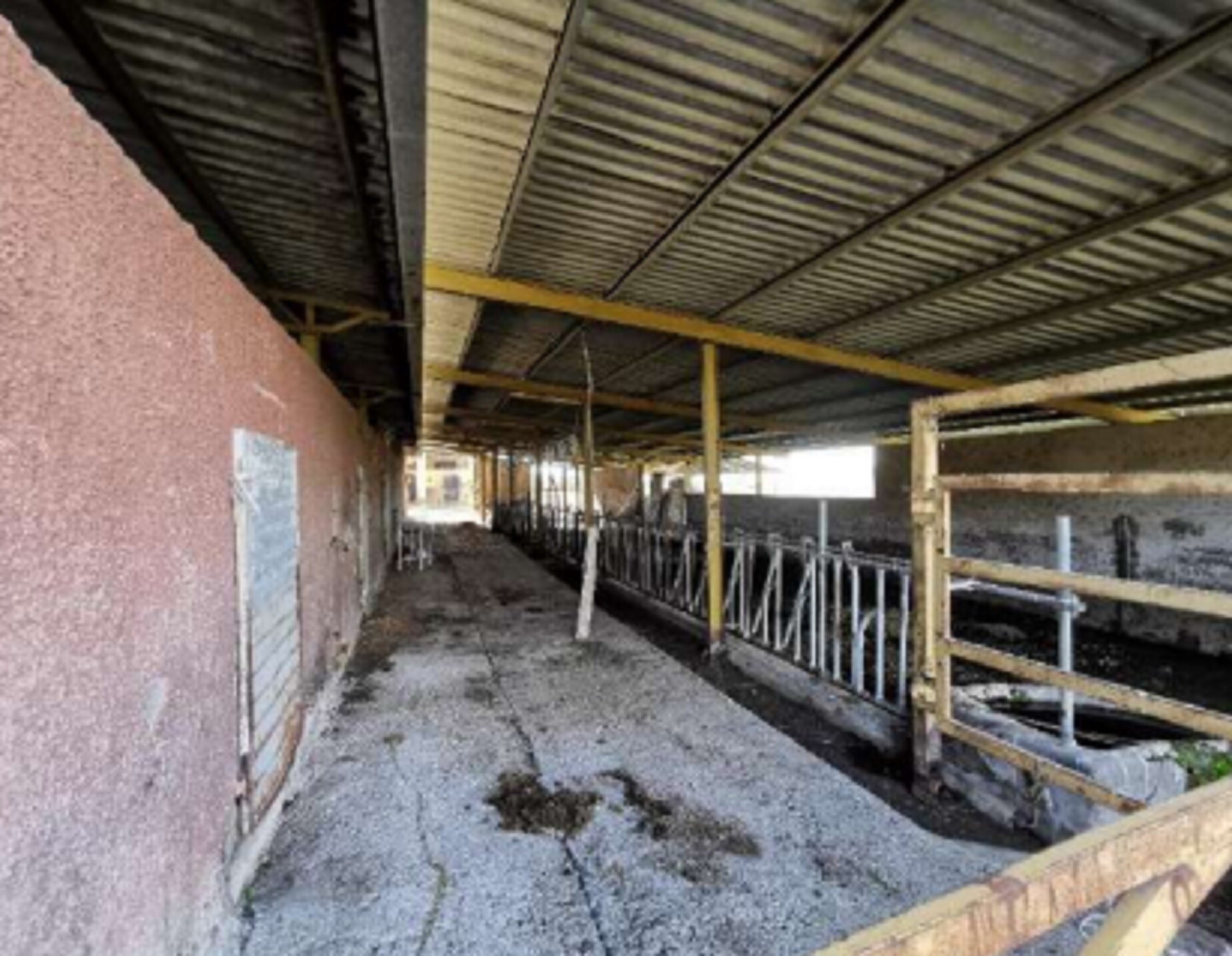 AZIENDA AGRICOLA LOC. FIANELLO MONTEBUONO RI — foto 6