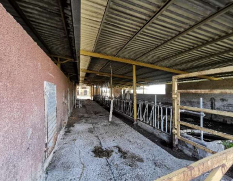 Immagine di AZIENDA AGRICOLA LOC. FIANELLO MONTEBUONO RI