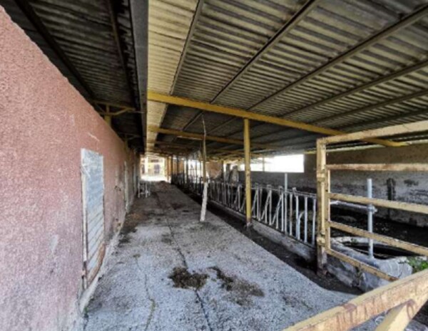 AZIENDA AGRICOLA LOC. FIANELLO MONTEBUONO RI — foto 6
