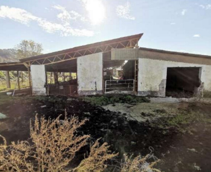 Immagine di AZIENDA AGRICOLA LOC. FIANELLO MONTEBUONO RI