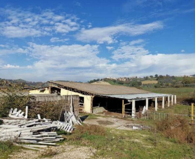 Immagine di AZIENDA AGRICOLA LOC. FIANELLO MONTEBUONO RI