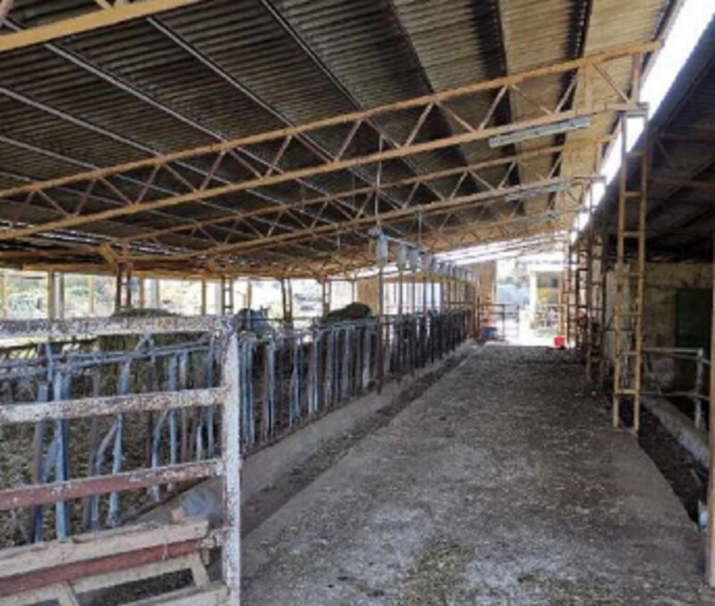 Immagine di AZIENDA AGRICOLA LOC. FIANELLO MONTEBUONO RI