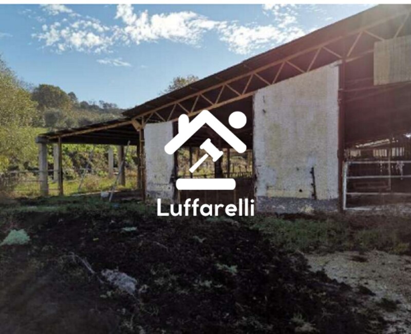 Immagine di AZIENDA AGRICOLA LOC. FIANELLO MONTEBUONO RI