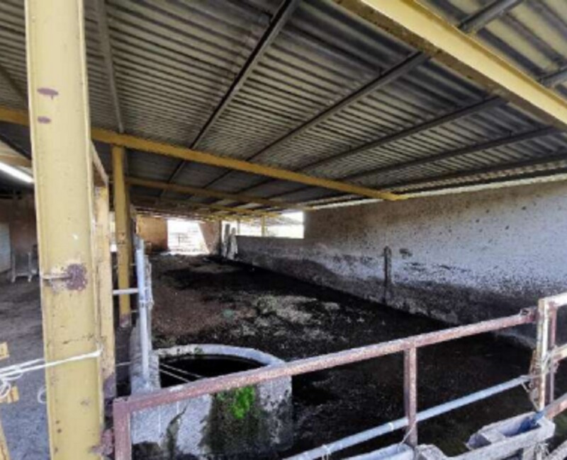 Immagine di AZIENDA AGRICOLA LOC. FIANELLO MONTEBUONO RI