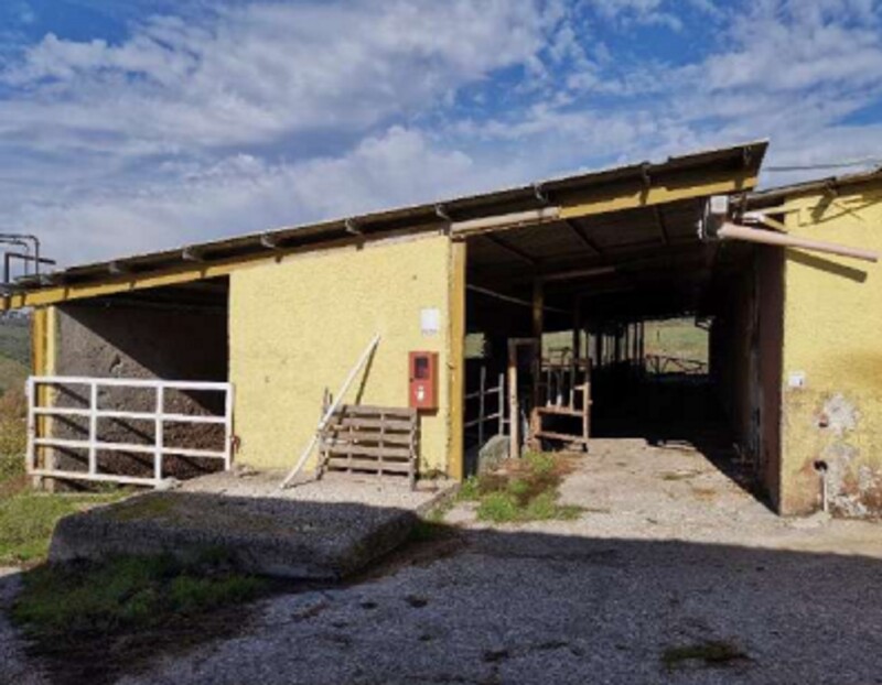 Immagine di AZIENDA AGRICOLA LOC. FIANELLO MONTEBUONO RI