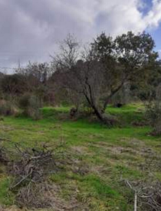 Immagine di COMPL.IMMOB. C.DA SOVARETTE SOTTANE, RENDE (CS)