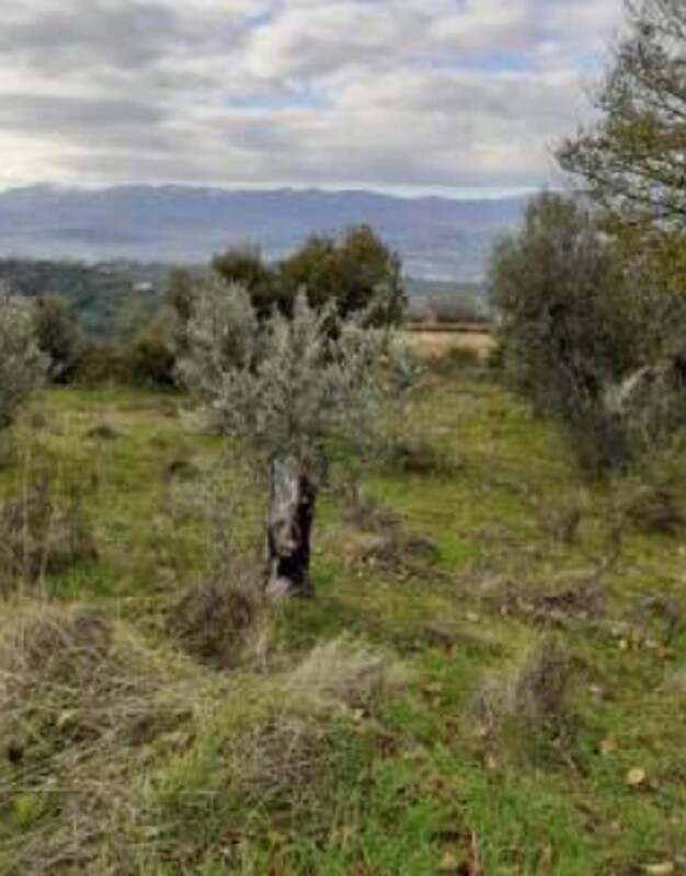 Immagine di COMPL.IMMOB. C.DA SOVARETTE SOTTANE, RENDE (CS)
