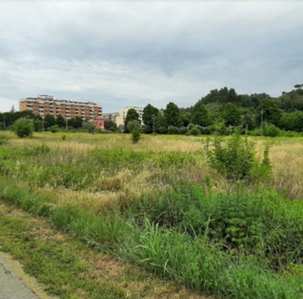 TERRENO ZONA MONTICELLI EST SNC - ASCOLI PICENO — foto 6