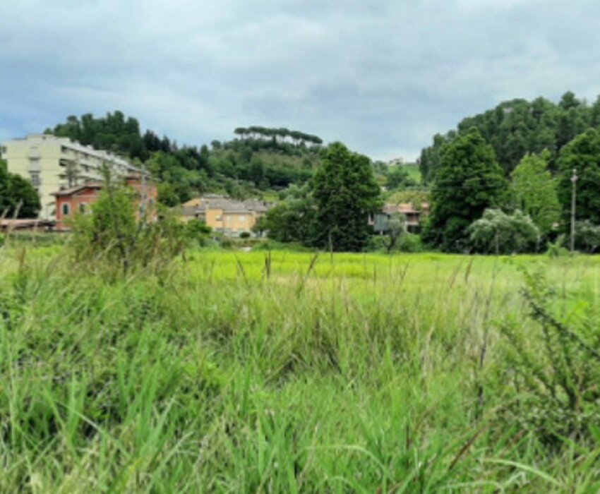 Immagine di TERRENO ZONA MONTICELLI EST SNC – ASCOLI PICENO