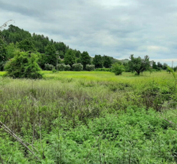 Immagine di TERRENO ZONA MONTICELLI EST SNC – ASCOLI PICENO