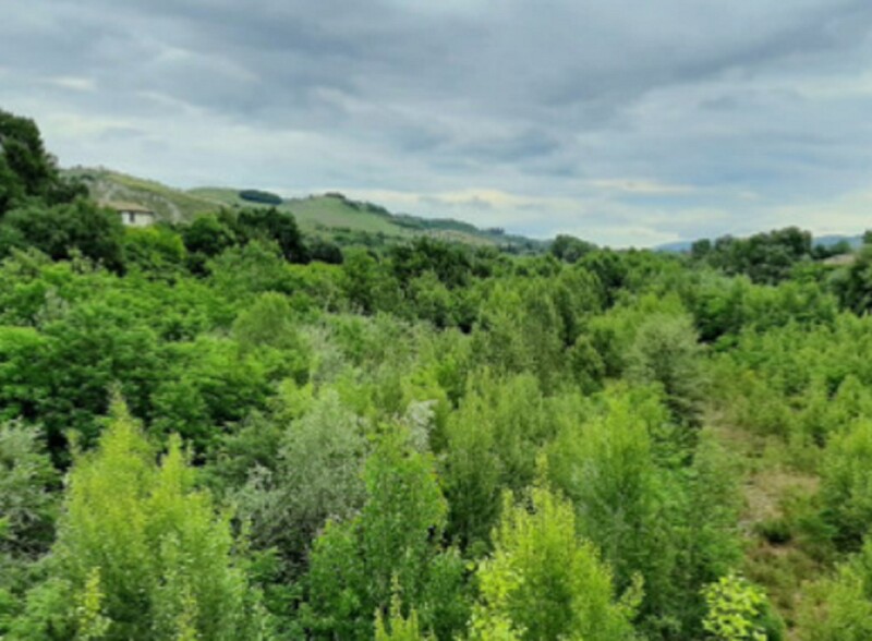 Immagine di TERRENO ZONA MONTICELLI EST SNC – ASCOLI PICENO