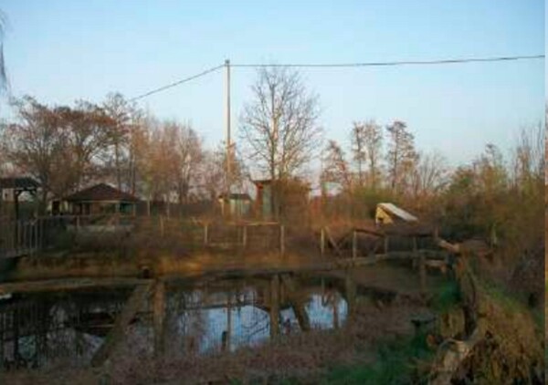 TERRENO VIA ROMA - SEMIANA — foto 6