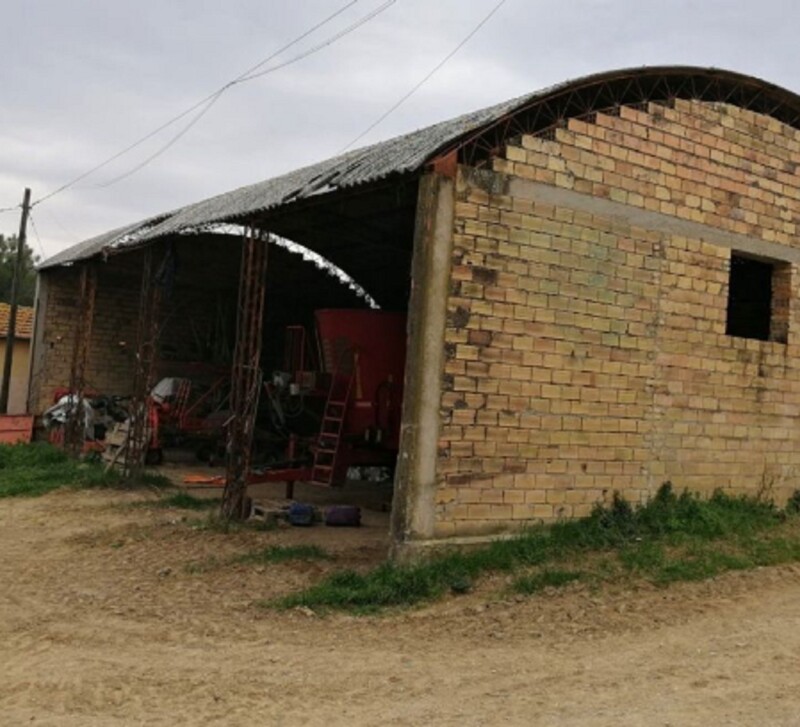 Immagine di AZIENDA AGRICOLA VIA SANTA SCOLASTICA, PIANELLA