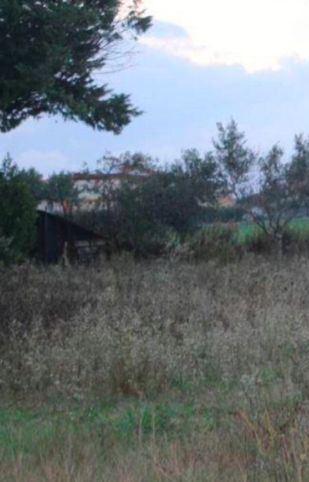Immagine di TERRENO VIA VERDI – APPIGNANO