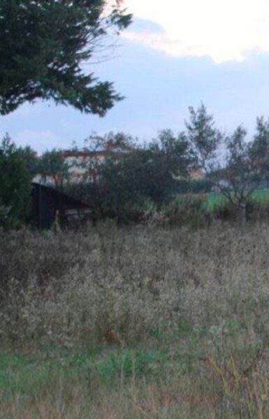 TERRENO VIA VERDI - APPIGNANO — foto 2