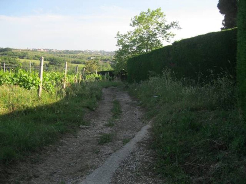 Immagine di TENUTA AGRICOLA VIA ANAGNINA – GROTTAFERRATA (RM)
