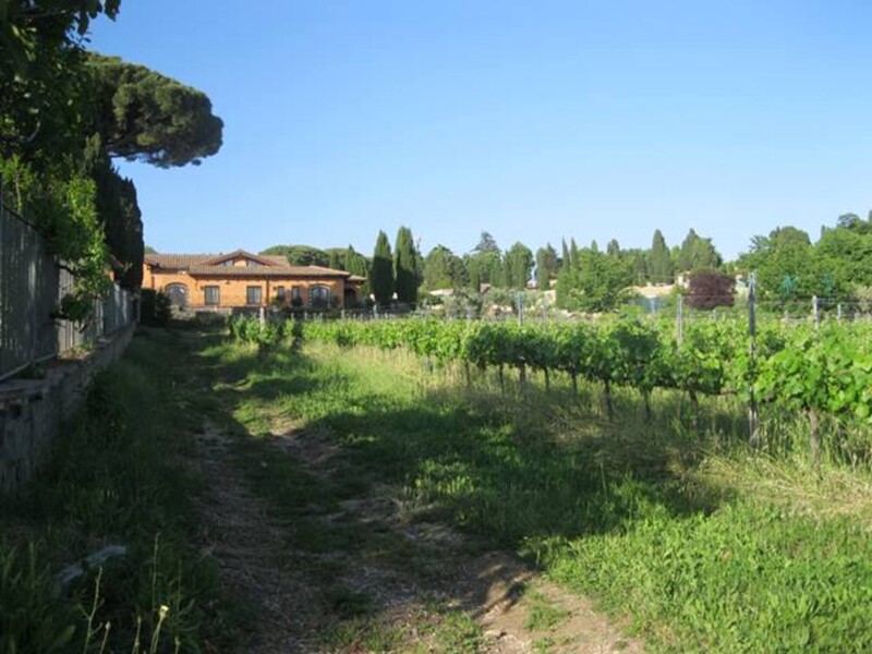 Immagine di TENUTA AGRICOLA VIA ANAGNINA – GROTTAFERRATA (RM)