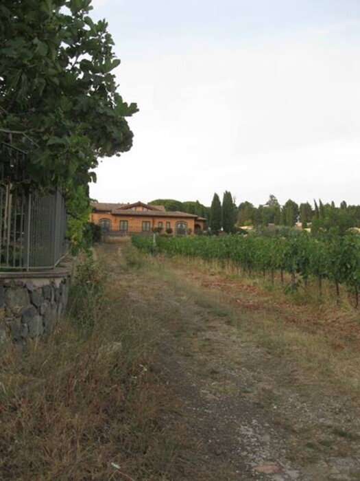 Immagine di TENUTA AGRICOLA VIA ANAGNINA – GROTTAFERRATA (RM)