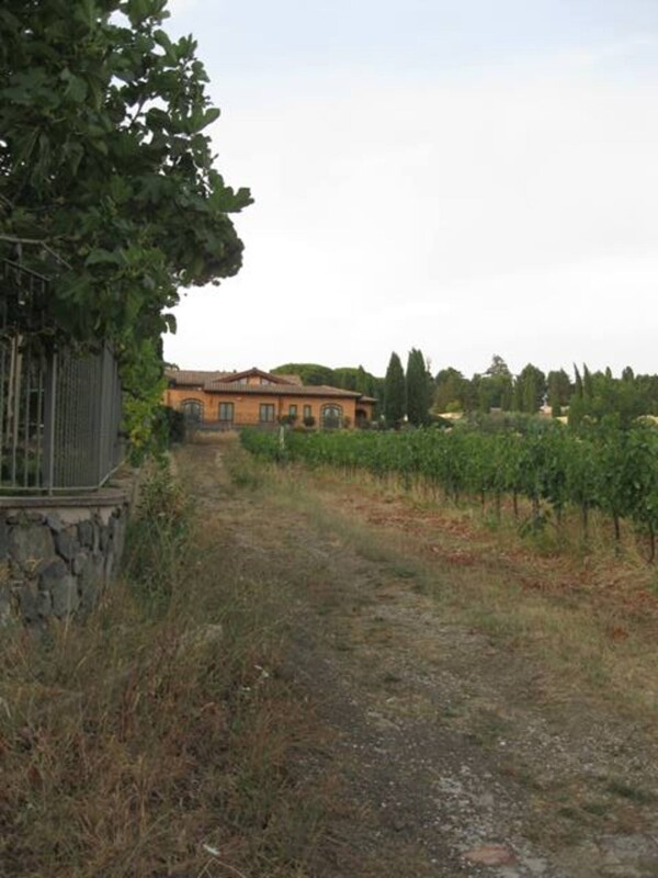 Immagine di TENUTA AGRICOLA VIA ANAGNINA – GROTTAFERRATA (RM)