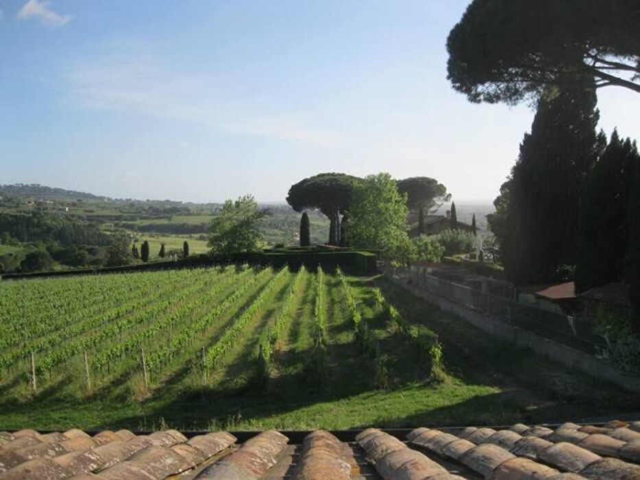 Immagine di TENUTA AGRICOLA VIA ANAGNINA – GROTTAFERRATA (RM)