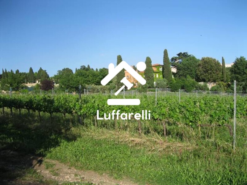 Immagine di TENUTA AGRICOLA VIA ANAGNINA – GROTTAFERRATA (RM)