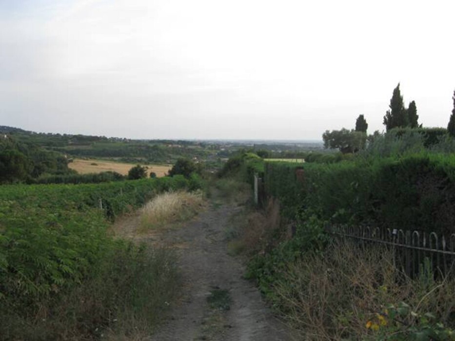 Immagine di TENUTA AGRICOLA VIA ANAGNINA – GROTTAFERRATA (RM)