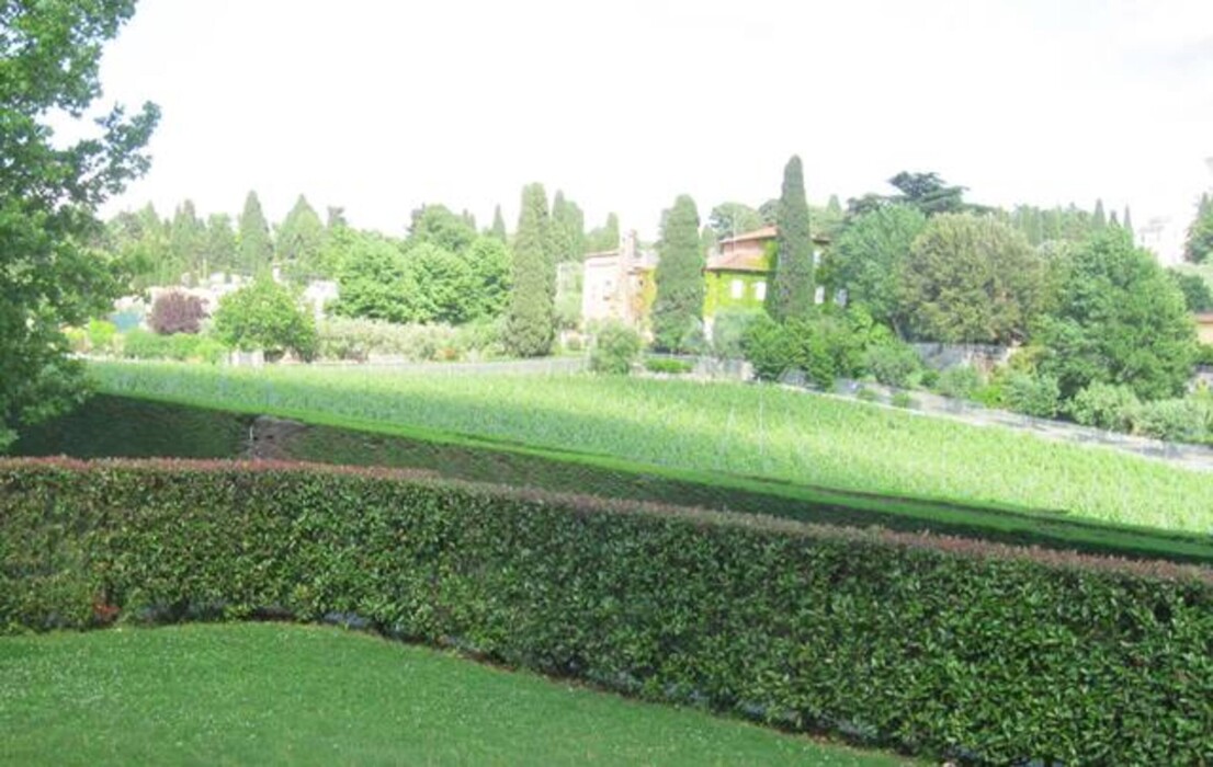 Immagine di TENUTA AGRICOLA VIA ANAGNINA – GROTTAFERRATA (RM)