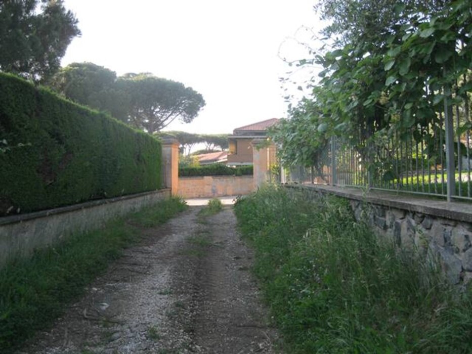 Immagine di TENUTA AGRICOLA VIA ANAGNINA – GROTTAFERRATA (RM)