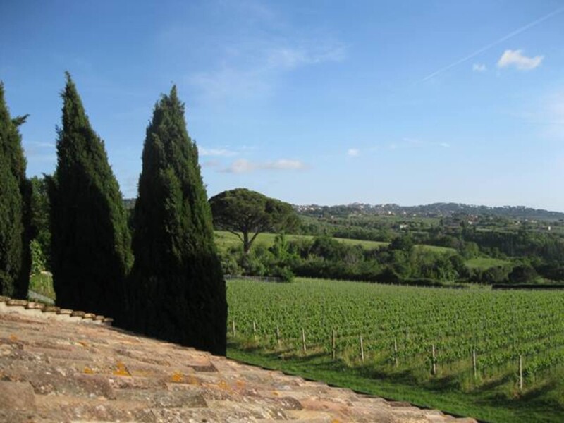 Immagine di TENUTA AGRICOLA VIA ANAGNINA – GROTTAFERRATA (RM)