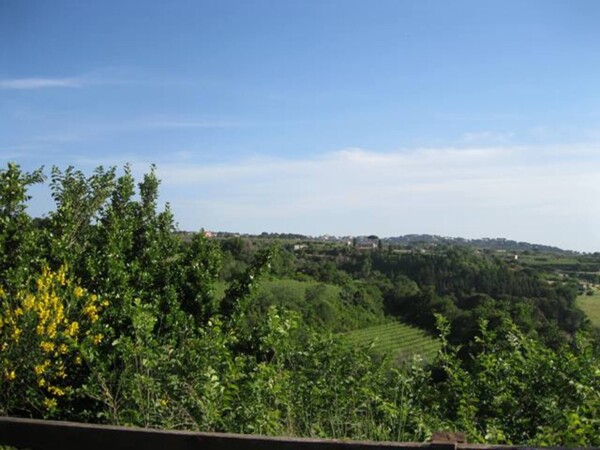 TERRENO VIA ANAGNINA - GROTTAFERRATA — foto 4