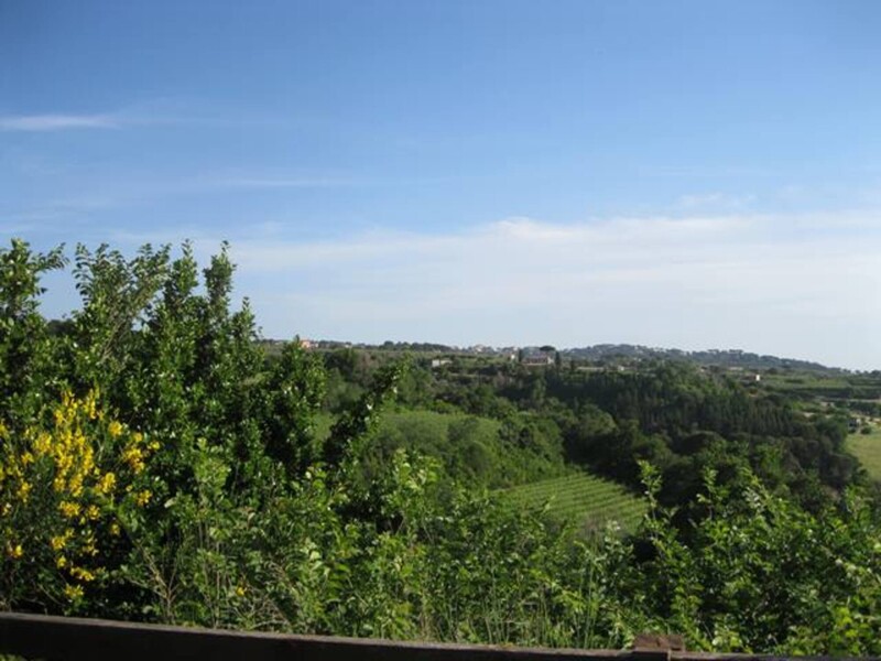 Immagine di TENUTA AGRICOLA VIA ANAGNINA – GROTTAFERRATA (RM)