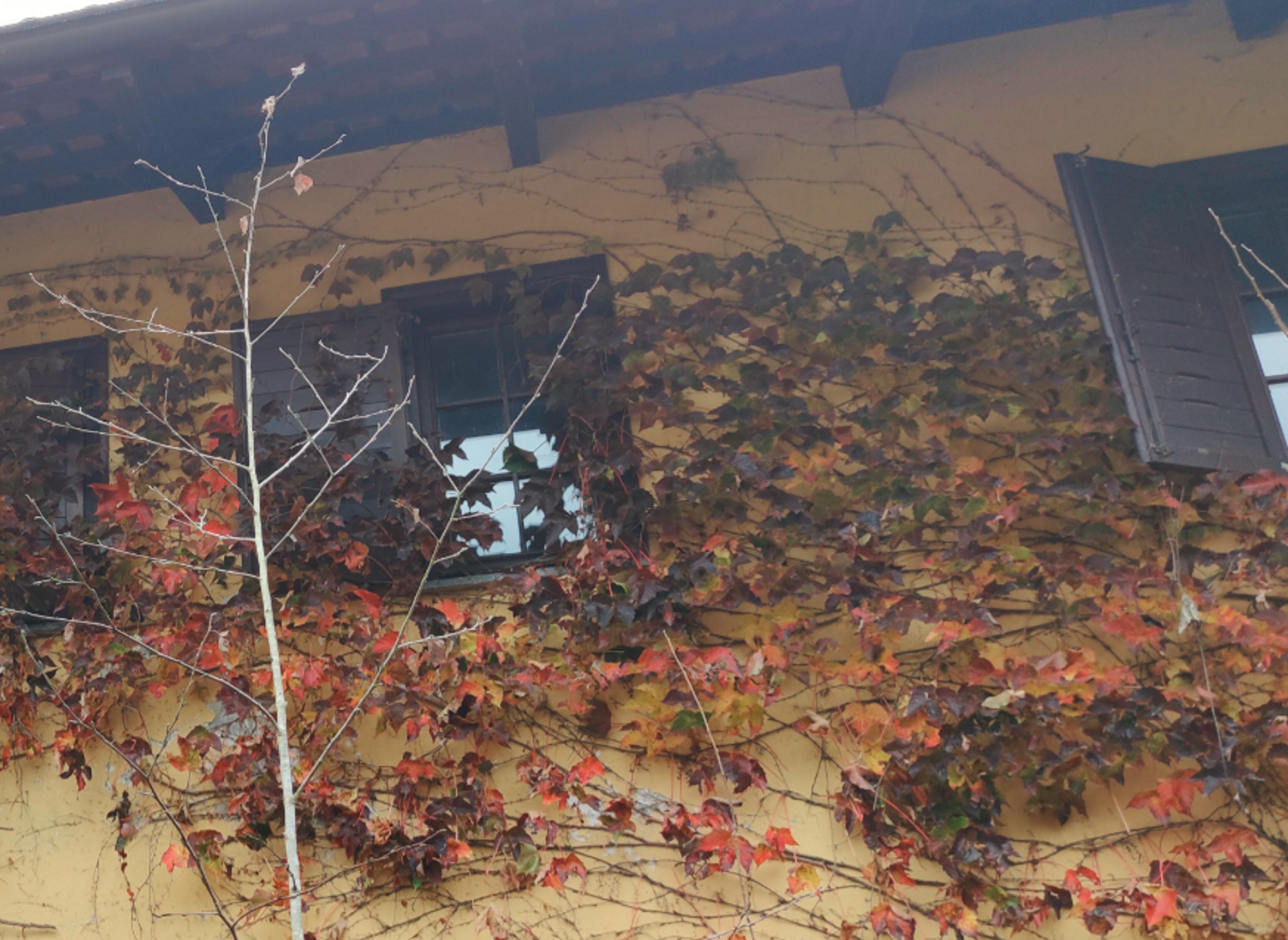 APPARTAMENTO VIA CHIVASSO - SAN SEBASTIANO DA PO — foto 2