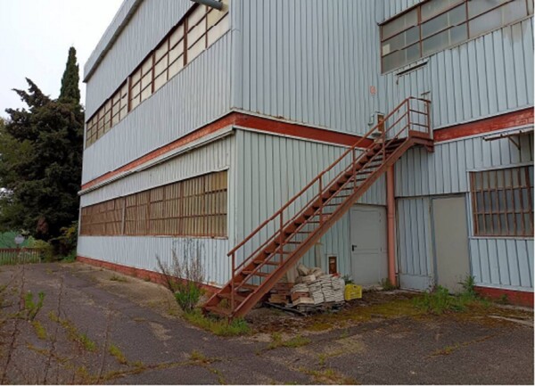 CAPANNONE / IMMOBILI INDUSTRIALI VIA VEREGRENSE - MONTEGRANARO — foto 5
