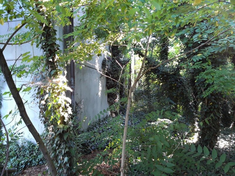 Immagine di TERRENO VIA P. GORINI – VIA A. NEGRI – FOMBIO