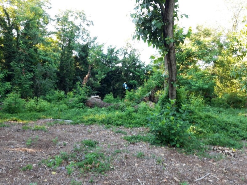 Immagine di TERRENO VIA P. GORINI – VIA A. NEGRI – FOMBIO