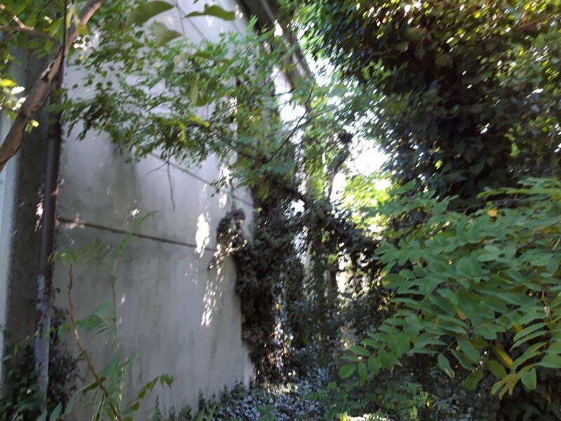 Immagine di TERRENO VIA P. GORINI – VIA A. NEGRI – FOMBIO