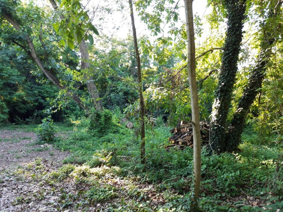 Immagine di TERRENO VIA P. GORINI – VIA A. NEGRI – FOMBIO